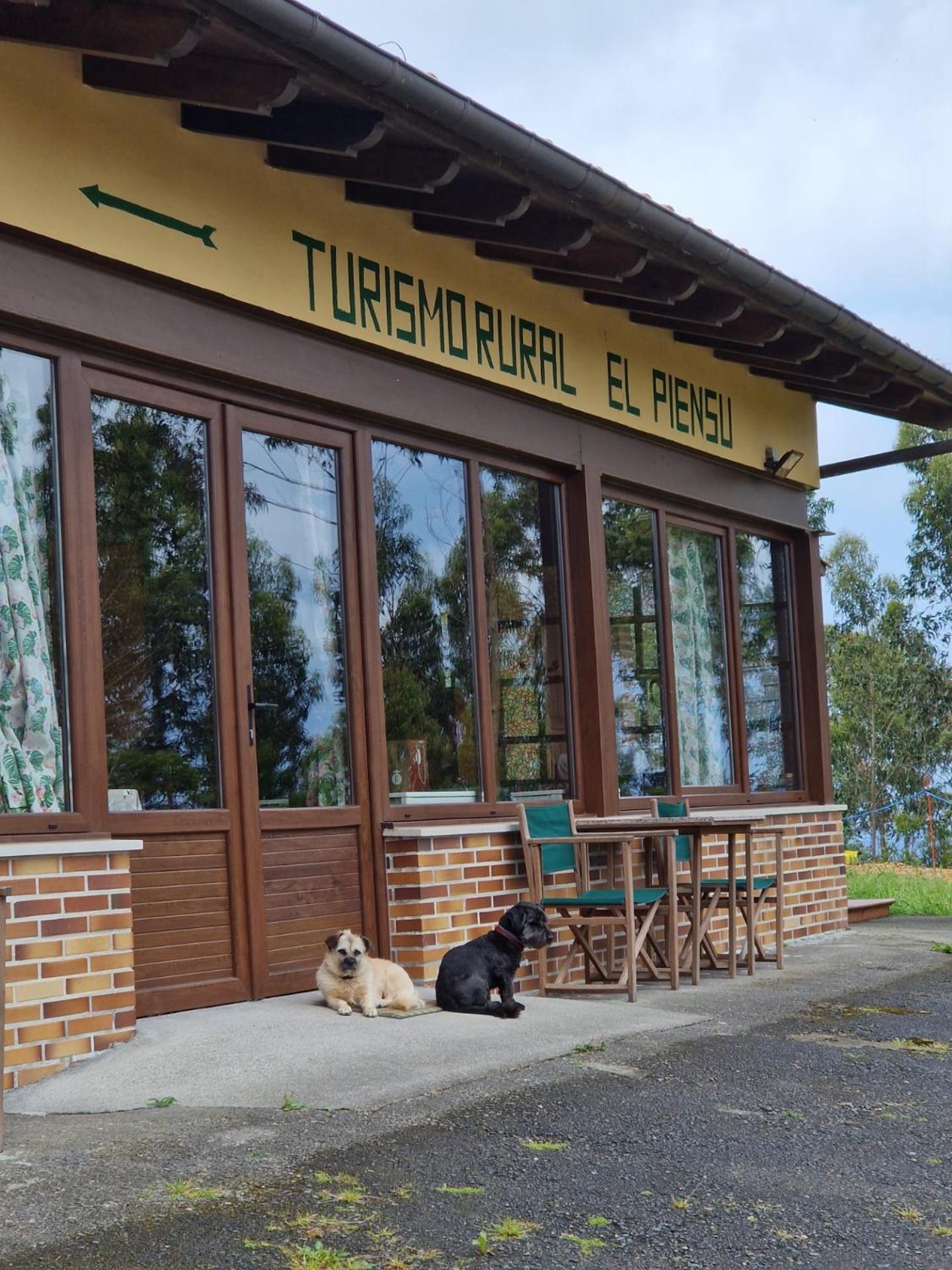 Turismo Rural El Piensu 비야비시오사 외부 사진