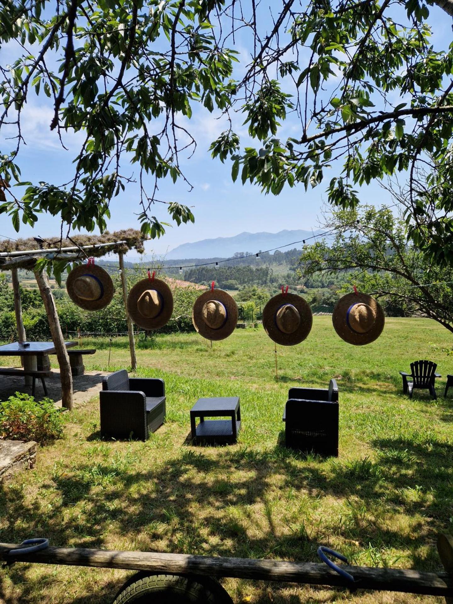 Turismo Rural El Piensu 비야비시오사 외부 사진