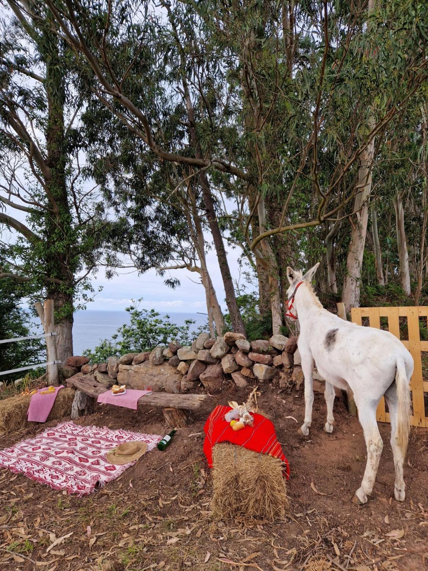 Turismo Rural El Piensu 비야비시오사 외부 사진